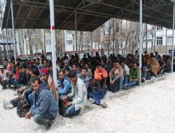  “Tır'a 'domates' yerine insan bindirmişler”